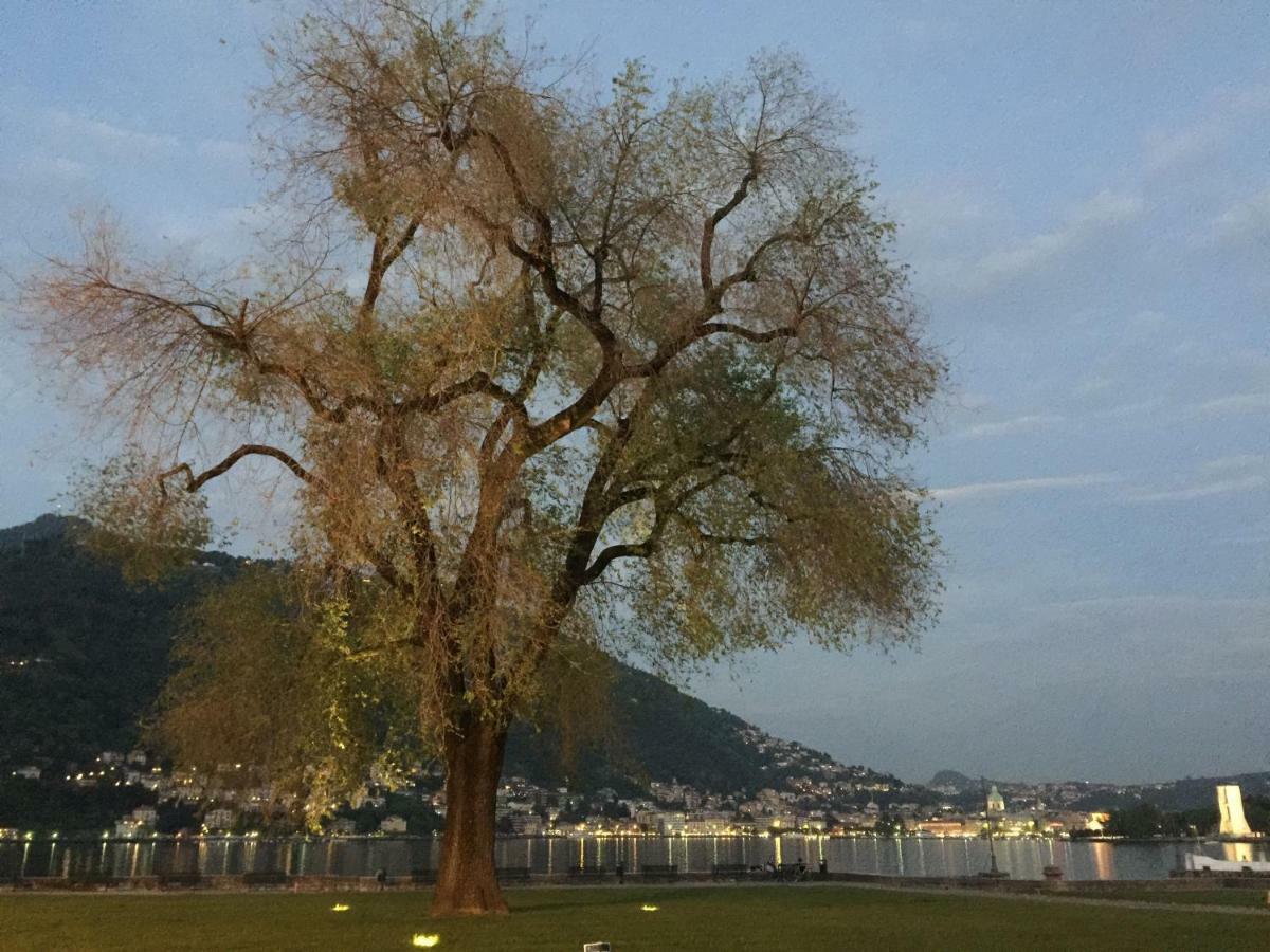 Iris 2 Lago Di Como Dongo Exterior photo